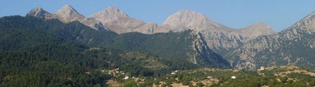 Όρος Ερύμανθος: Η χλωρίδα και η βλάστηση